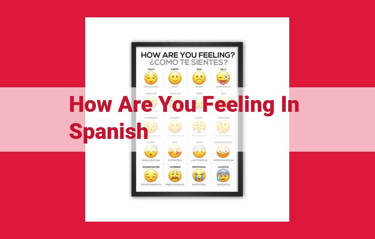 Unable to Extract: "How Are You Feeling" in Spanish from Provided Text