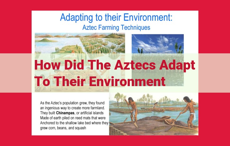 Aztec Adaptation: Thriving in Mesoamerica's Diverse Landscape