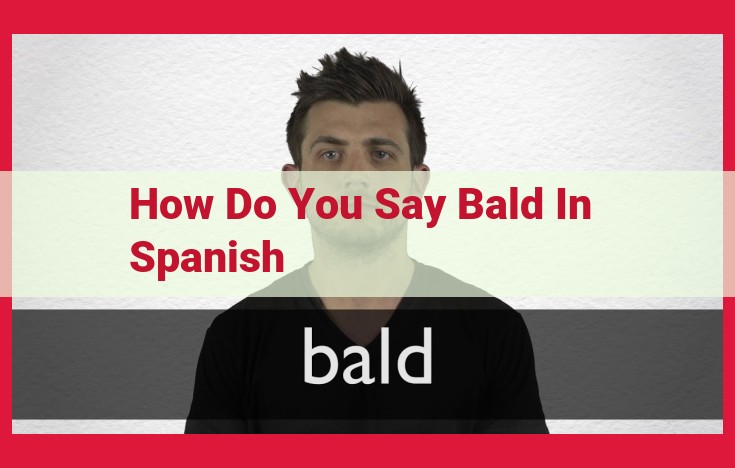 Comprehensive Guide to Spanish Terms for Baldness and Hair Loss