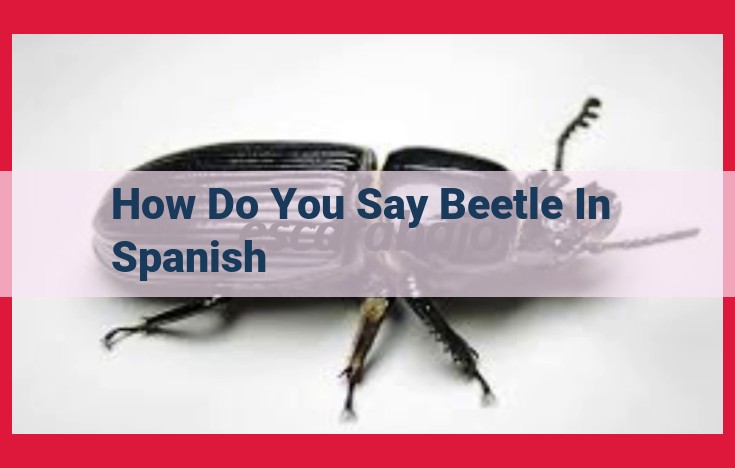 Ultimate Guide to Translating "Beetle" into Spanish: "Escarabajo" Explained