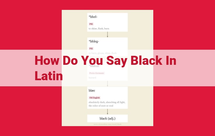 Latin Vocabulary for the Color Black: A Comprehensive Guide