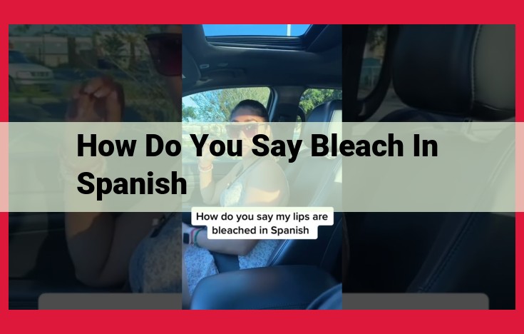 Understanding Bleach in Spanish: Lejía for Whiter, Safer Surfaces