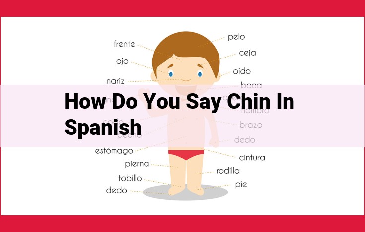 Discover the Etymology of "La Barbilla": The Spanish Word for Chin