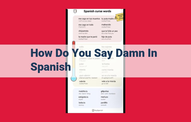 Understanding the Role and Variety of Curse Words in Spanish: A Linguistic Exploration