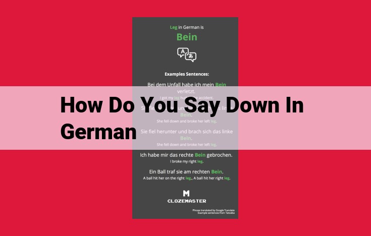 Unveiling the Nuances of "Down" in German: Exploring German Vocabulary and Language Insights