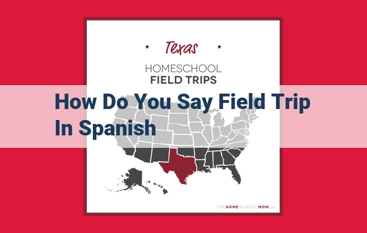 How to Say Field Trip in Spanish: The Ultimate Guide to Excursión