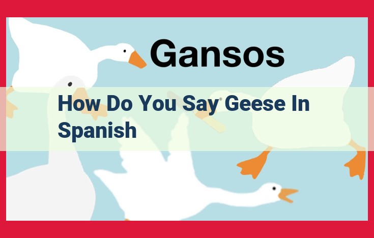 Geese Linguistics: Exploring the Spanish Terminology for "Ganso"