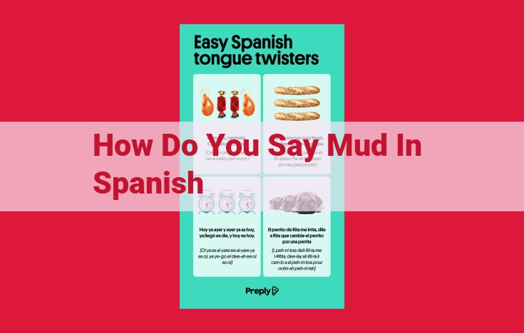 Spanish Mud Terminology: Expressions, Phrases, and Cultural Significance