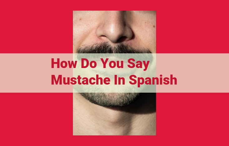 How to Say "Mustache" in Spanish: "Bigote" vs. "Mostacho"