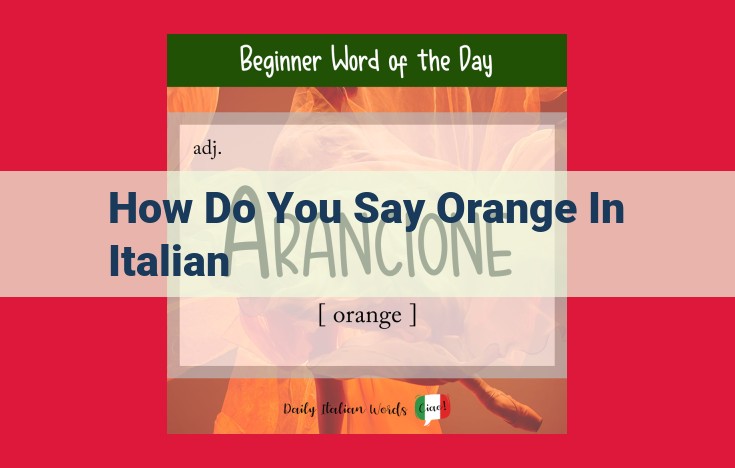 How to Say "Orange" in Italian: An Exploration of "Arancia"