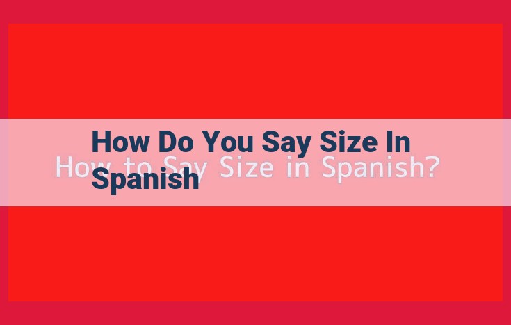 Guía definitiva para expresar el tamaño en español para la industria de la moda