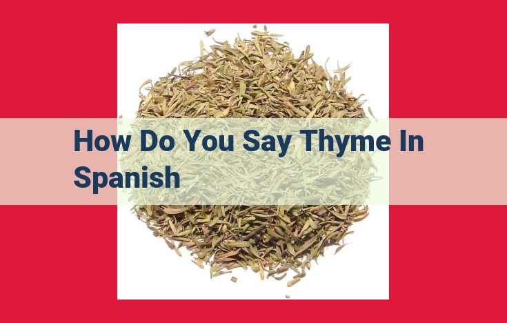 Discover the Linguistic Origins of Thyme in Spanish and Its Dialectal Variations