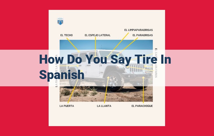 Spanish Translation for "Tire" Not Found in Provided Text