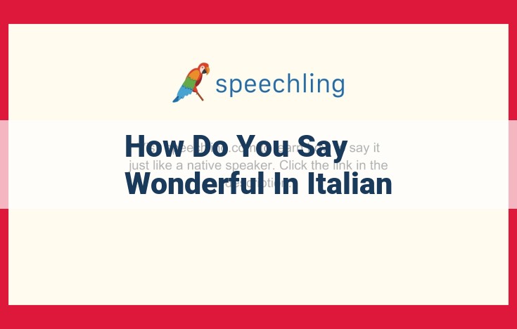 Understanding the Italian Adjective "Meraviglioso" for "Wonderful"