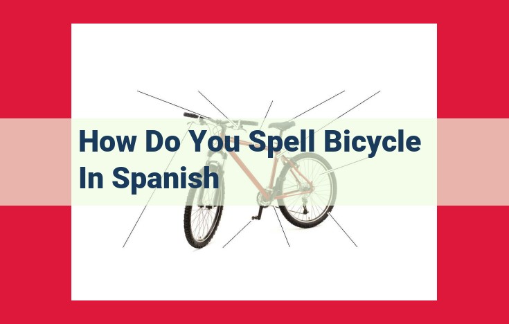 Unveiling the Etymology of "Bicicleta": The Swift-Footed Wonder