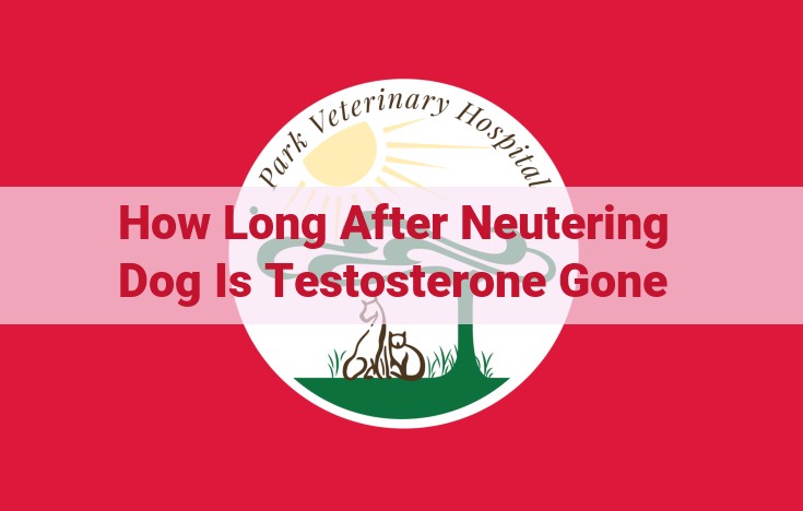 Deciphering the Post-Neutering Hormonal Landscape: The Timeline of Testosterone Decline in Dogs