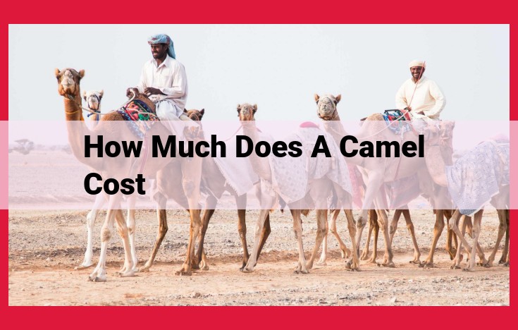 Complete Guide to Understanding Camel Pricing: Factors and Ongoing Costs