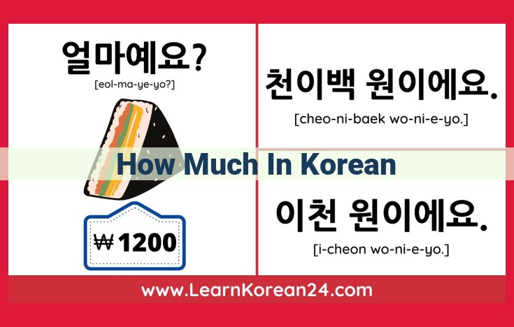 How Much in Korean: Essential Phrase and Examples