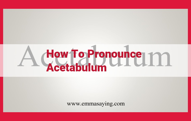 Mastering the Pronunciation of "Acetabulum": A Comprehensive Guide