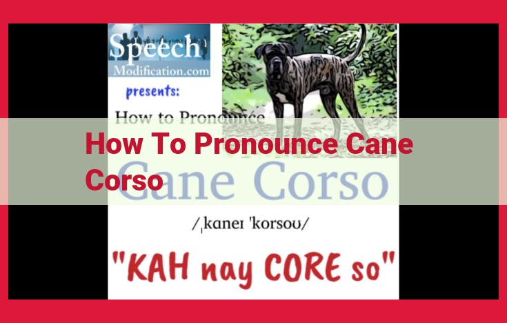 Expert Guide to Pronouncing "Cane Corso" Correctly: Pronunciation Tips and Common Mispronunciations