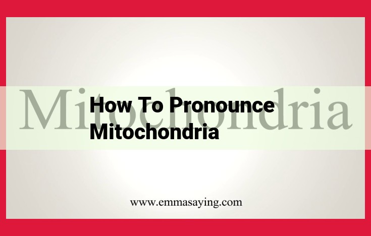 Mastering the Pronunciation of "Mitochondria": A Step-by-Step Guide