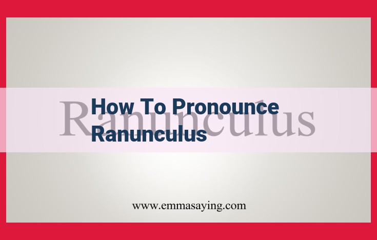 Master the Pronunciation of Ranunculus: A Step-by-Step Guide