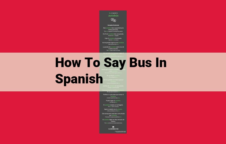 Navigating Bus Travel in Spanish-Speaking Countries: Essential Vocabulary and Phrases