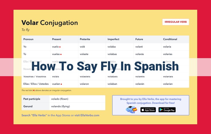 How to Conjugate "to Fly" in Spanish: A Beginner's Guide