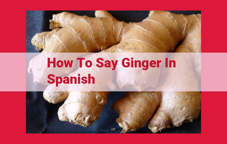 Discover "Jengibre": The Spanish Word for Ginger, Its Culinary Versatility, and Etymology