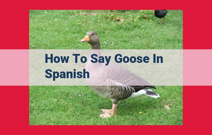 Discover the Fascinating World of Geese: Ecology, Behavior, and Domestication