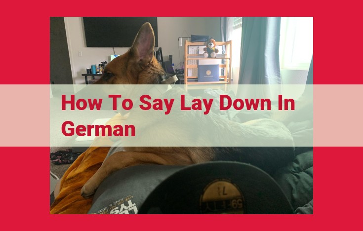 Lay Down in German: A Comprehensive Guide to Hinlegen, Legen, and Sich Ausstrecken