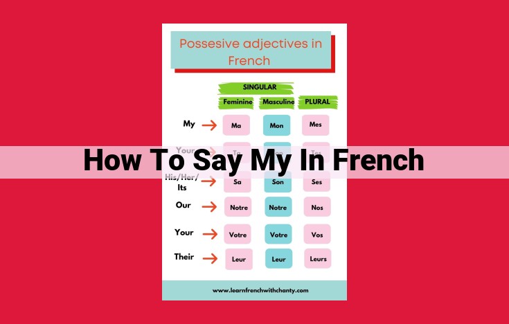 Master French Possessives: Translating "My" with Precision