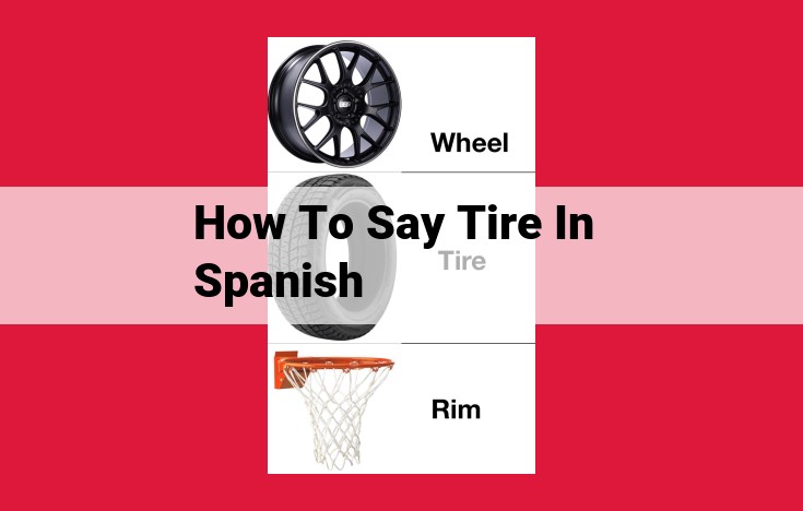 Comprehensive Guide to Tires in Spanish: Synonyms, Components, and Related Terms