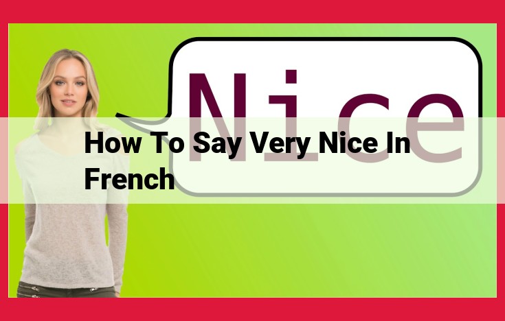 Expressing "Very Nice" in French: A Guide to Impeccable Adjectives, Nouns, and Phrases