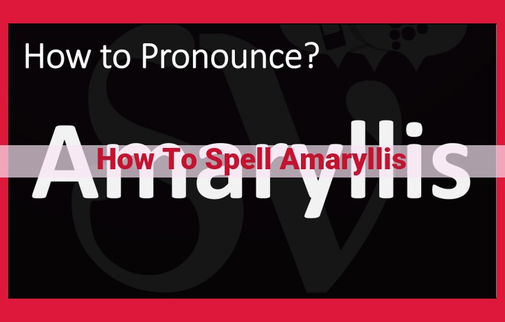 [Step-by-Step Guide] Master the Spelling of Amaryllis: A Beautiful Flower with a Unique Name