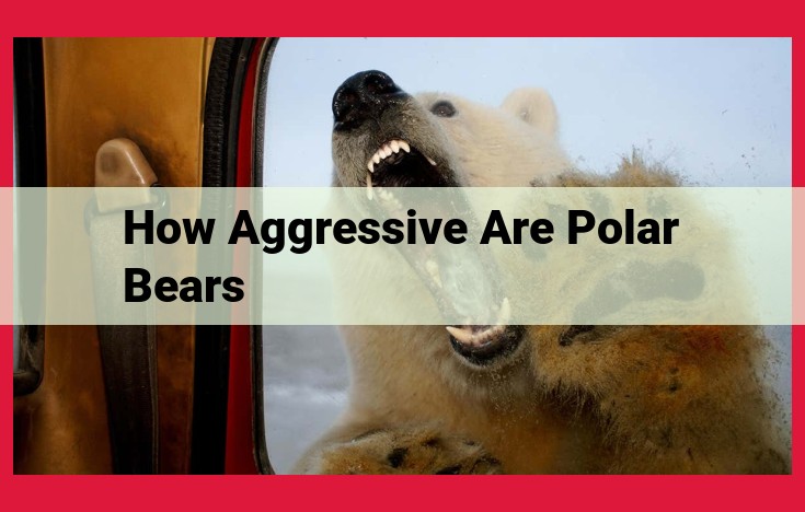 Polar Bear Safety: Understanding Behavior and Minimizing Encounters