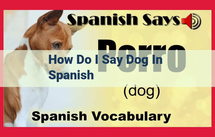 Learn How to Say "Dog" in Spanish: Comprehensive Guide with Close Synonyms