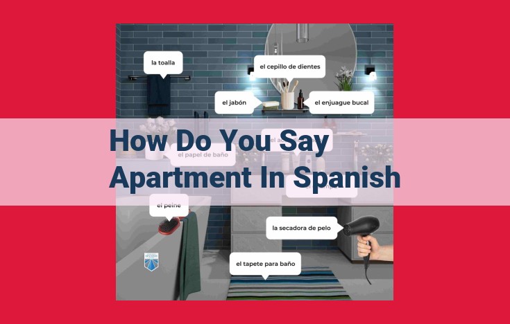 Spanish Word for Apartment: Types and Common Uses