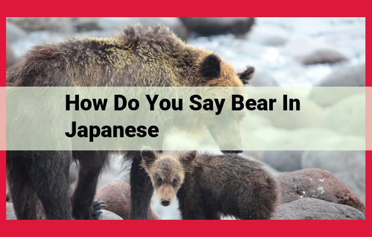 Japanese Bear Species: "Kuma" and Its Specialized Subtypes