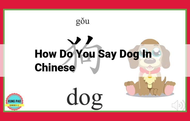 Chinese Language: Understanding the Word for "Dog" and Related Terms