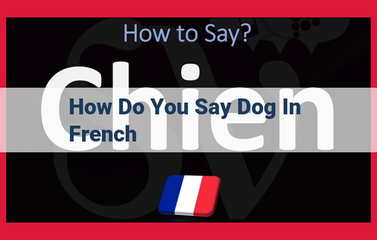 Understanding "Chien": The Word for "Dog" in French and Its Cultural Importance