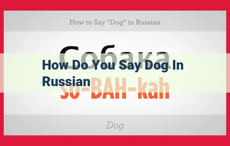 Unlock the Secrets of Russian: Discover the Translation, Etymology, and Pronunciation of "Dog" (Собака)