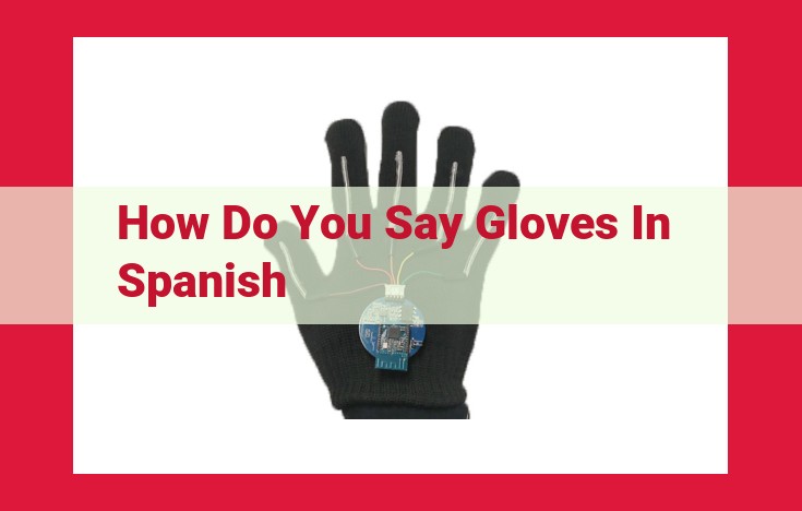 Comprehensive Guide to Guantes: Spanish Gloves for Every Purpose