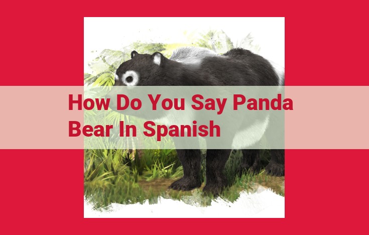 Spanish Translation of "Panda Bear": A Comprehensive Guide