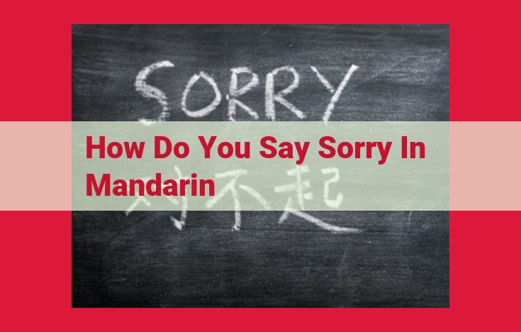 Understanding Chinese Apologies: Etiquette, Expressions, and Cultural Nuances