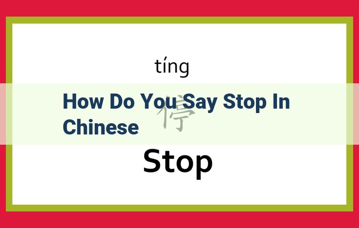 How to Express "Stop" in Chinese: A Guide to "停一下"