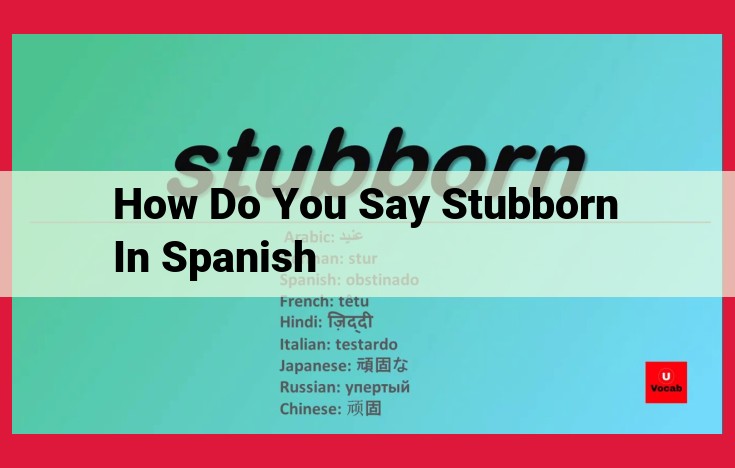 Stubbornness in Spanish: Understanding the Concept of "Terco"