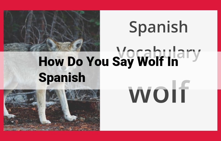 Unveiling the Spanish Vocabulary for "Wolf": Exploring Cultural Connections