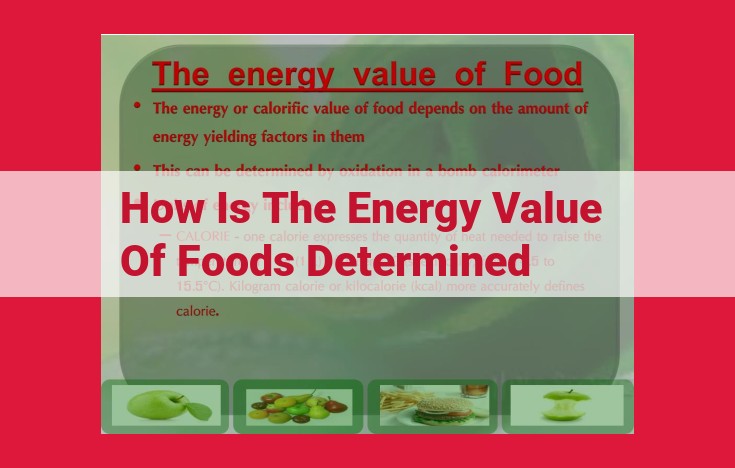 Determining Food Energy Value: Methods for Accurate Dietary Choices