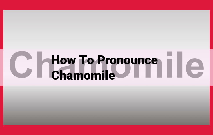 Master the Pronunciation of Chamomile: A Step-by-Step Guide